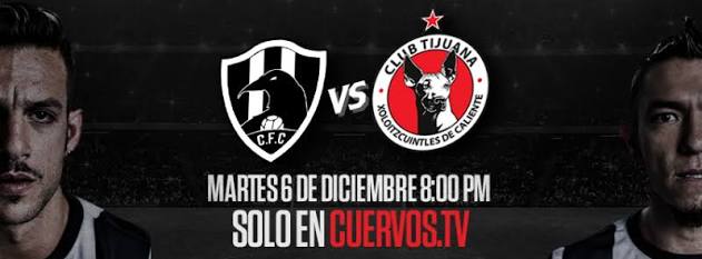 club de cuervos y el marketing